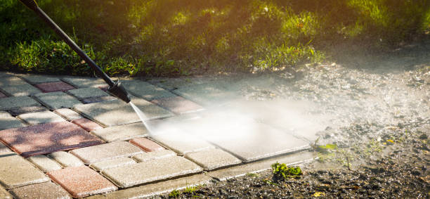 Best Solar Panel Cleaning  in Natalia, TX